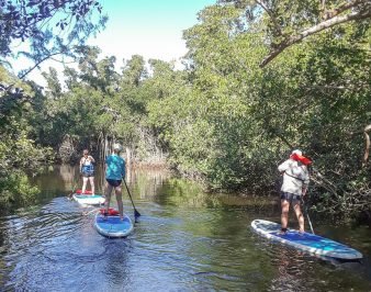 19 Most Inspiring Places for Paddle Boarding in Florida - Stand Up ...