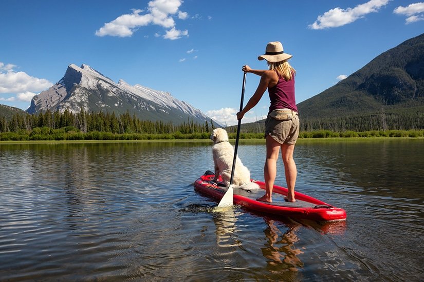 Tips When Paddle Boarding With Your Dog
