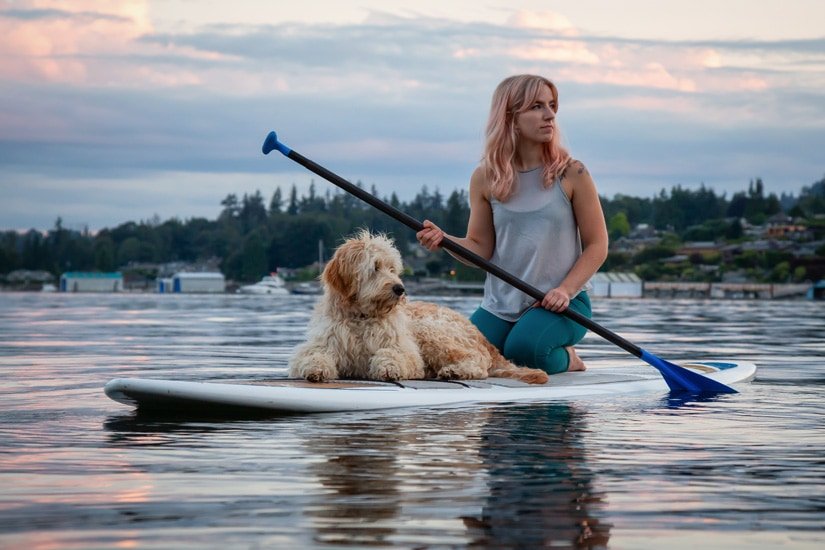 teach dog stand up paddle board